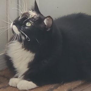 Meet your Posher, April